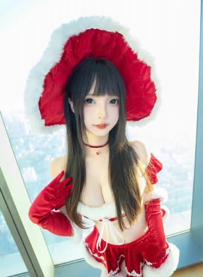 战地黄花