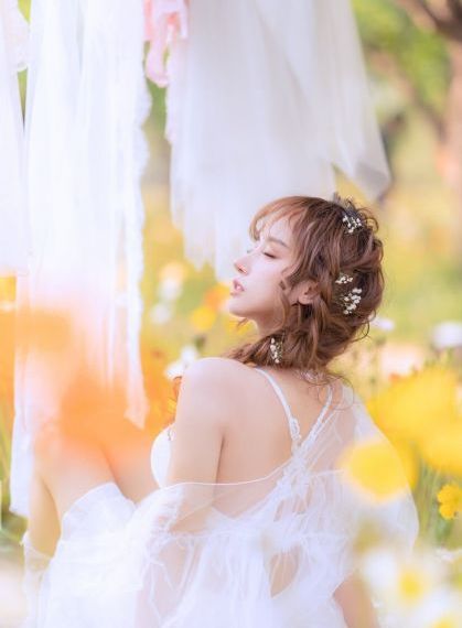 李卫当官